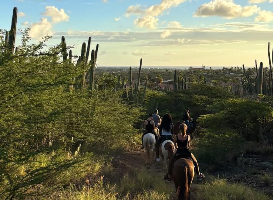 Horseback riding
