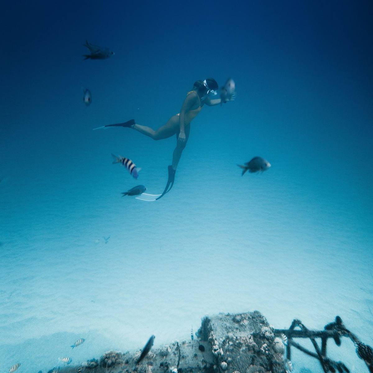 Freediver gliding over a wreck with reef fish