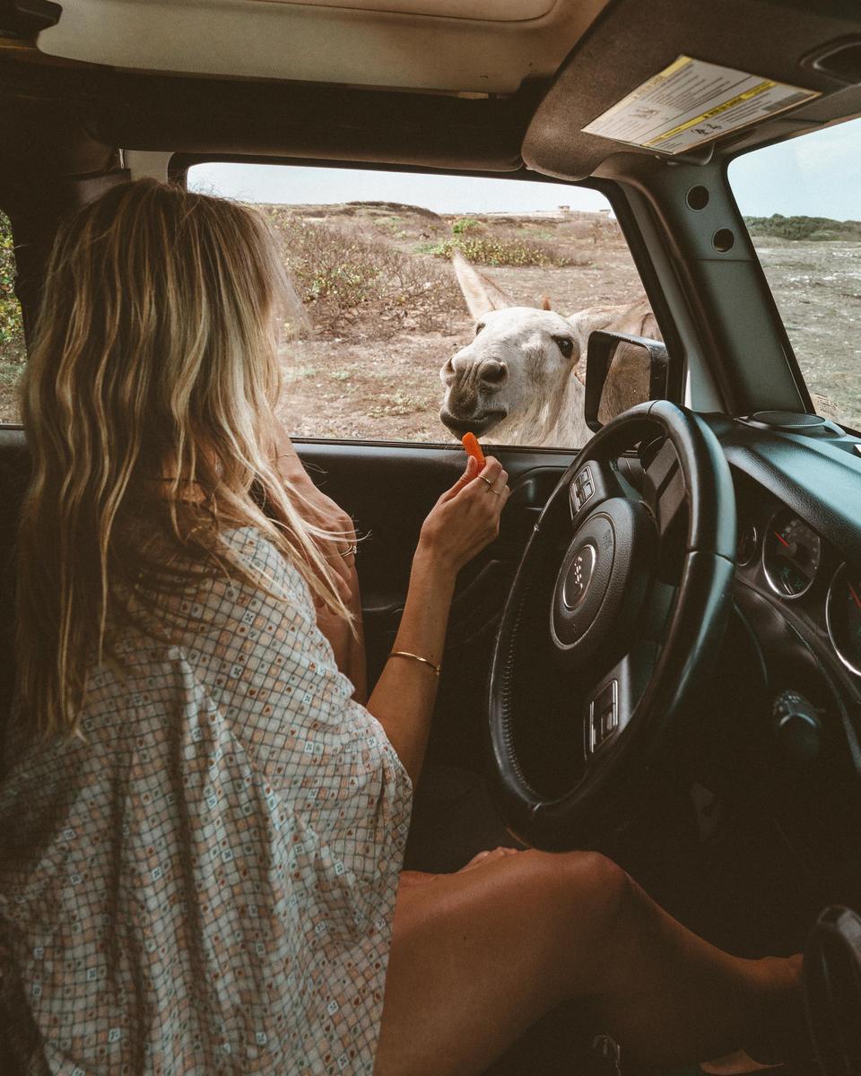 Car rental