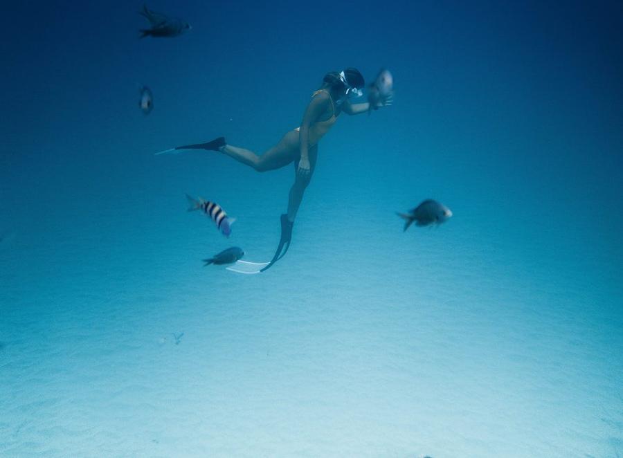 Snorkel the reef and the wreck