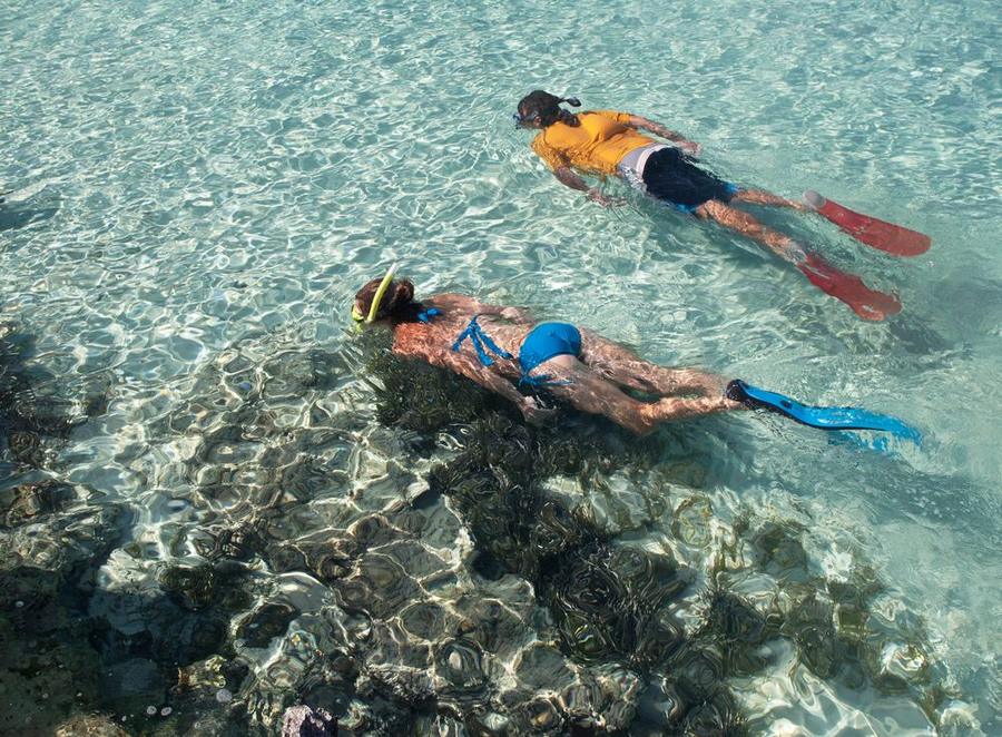 Snorkelling & scuba diving