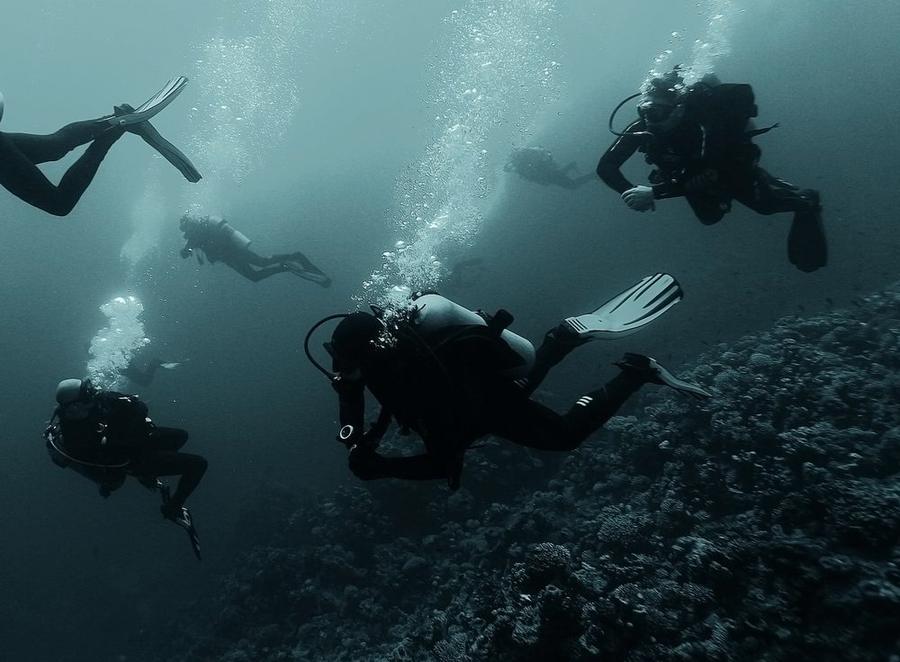 Snorkelling & scuba diving